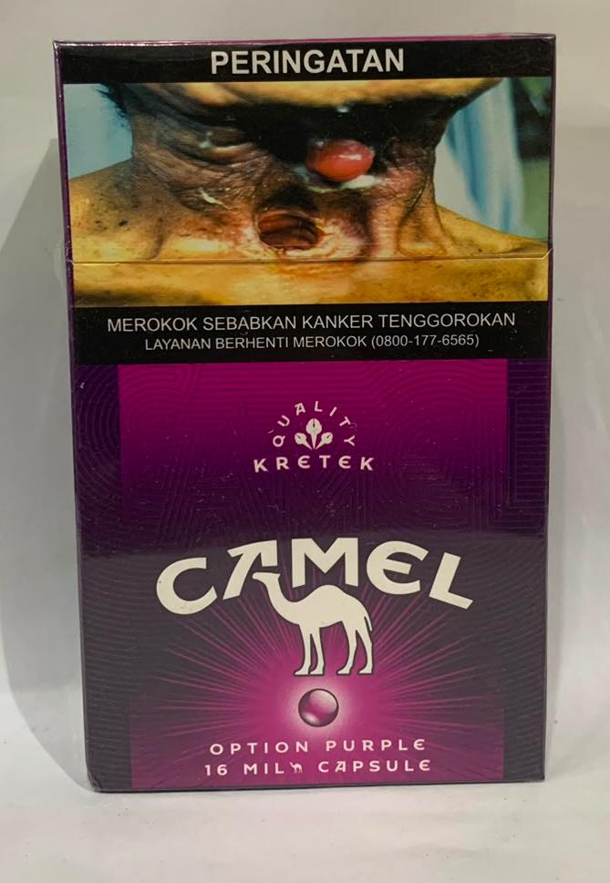CAMEL PURPLE 16