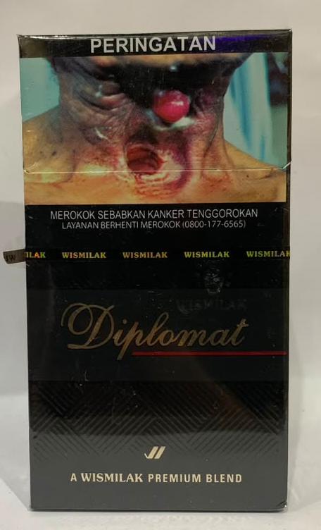 DIPLOMAT 12