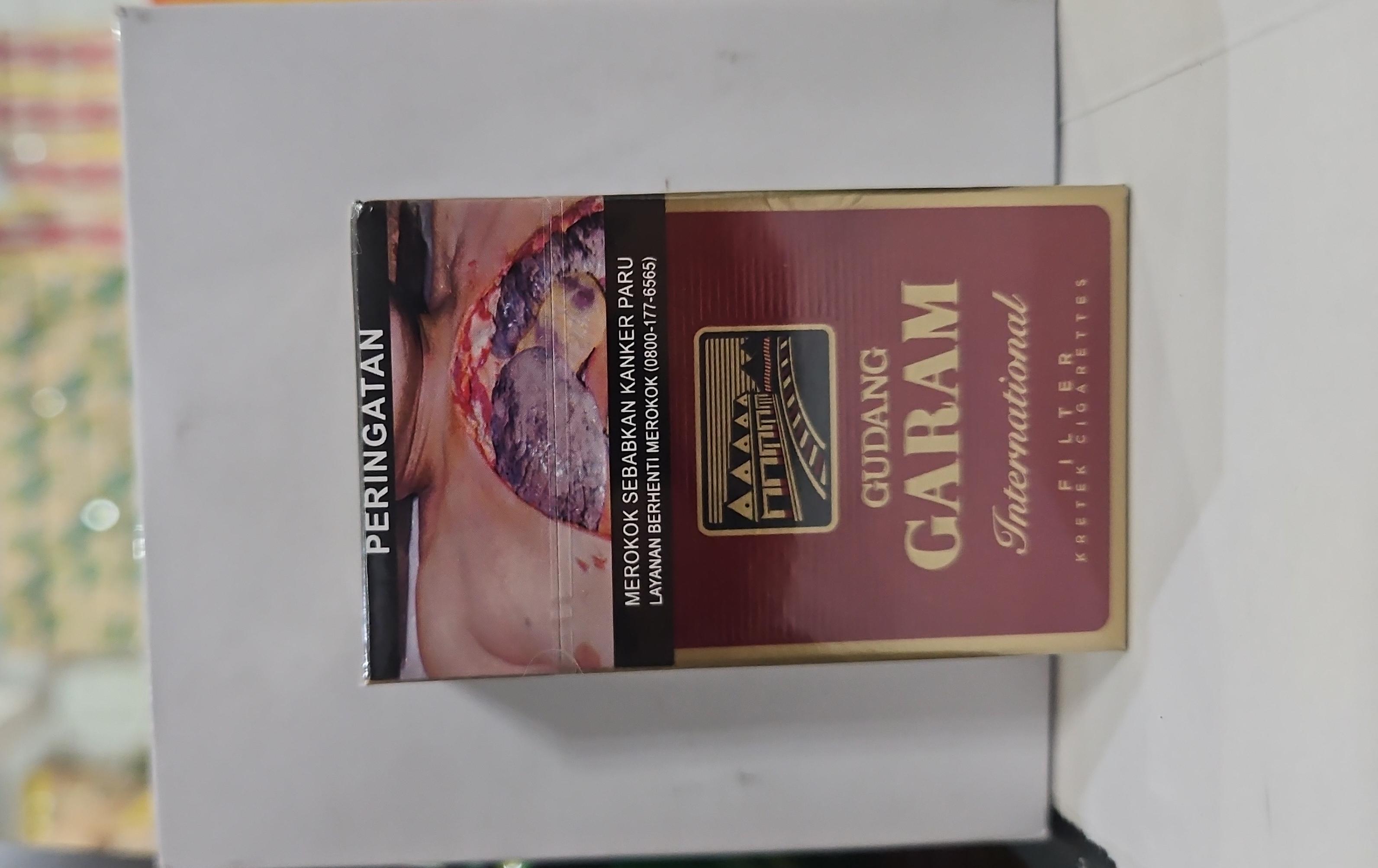 GUDANG GARAM FILTER(GF)